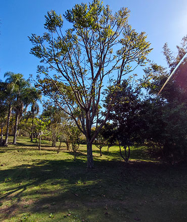 Natureza - Lazer no Recanto Sollaris