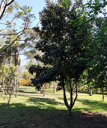 Natureza - Lazer no Recanto Sollaris
