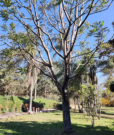 Natureza - Lazer no Recanto Sollaris